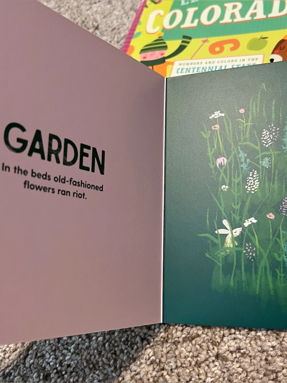 Baby Board Book Bundle Lets Count Anne Green GablesDuck Duck Goose Potty